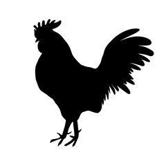 Rooster or cock symbol hand drawing in black, Chinese zodiac sign, black silhouette isolated on white, hand drawn shape. Happy new year Chinese Year of the Rooster zodiac emblem 2017.