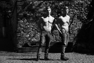 Young sensual twin brothers