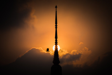 Obraz premium Bird flying with pagoda sunset background