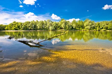 Foto auf Acrylglas Landscape of Drava river on Mura mouth © xbrchx