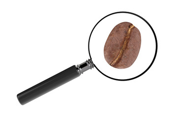 Magnifier with a Coffee Bean. 3d Rendering