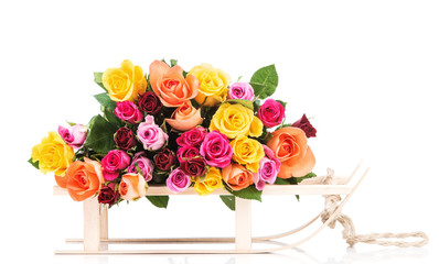 Roses on white background