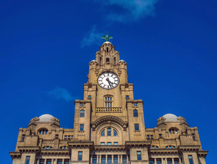 Liver Building