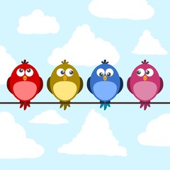 Cute color birds on wire