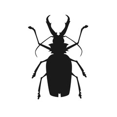 Big Beetle Deer with Horns