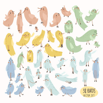 Vector set of cute birds. Cartoon collection with funny little bird family.