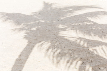 ombre de cocotier sur plage de sable blanc 