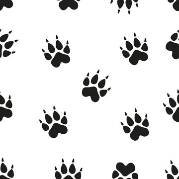 Animal - birds and mammals footprints silhouettes set isolated on white background.