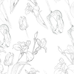 Iris and Tulip pattern. the pattern of flowers. Tulips and irises. Ink