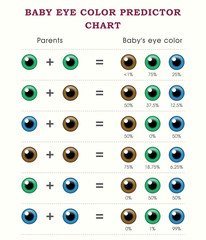 What Color Hair Will My Baby Have Chart