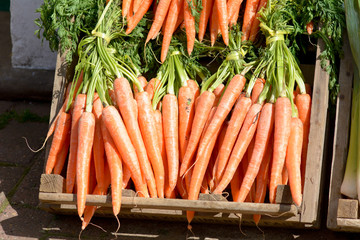 Bunches of carrots in vegetable display outside Green-grocers shop
