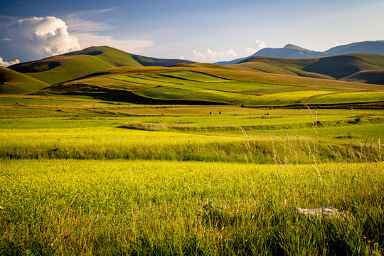 Castelluccio di Norcia