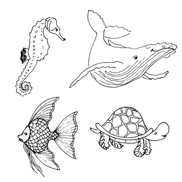 Vector set of ocean animals. Hand drawn underwater cartoon creatures. Seahorse, whale, fish, turtle. Sea life illustration.
