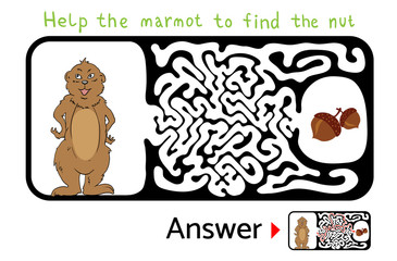 Maze puzzle for kids with Marmot and Nut. Labyrinth illustration, solution included.