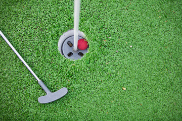 Golf club and ball in grass