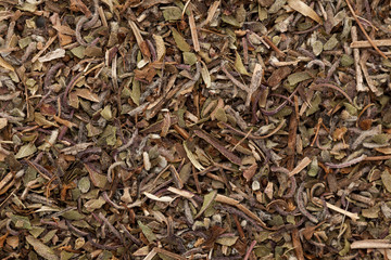 Organic dry green spearmint leaves (Mentha spicata). Macro close up background texture. Top view.