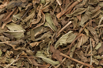 Organic dry green spearmint leaves (Mentha spicata). Macro close up background texture. Top view.