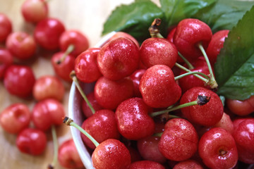 Fresh red cherries
