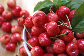 Fresh red cherries
