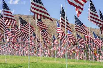 American flags on the hill