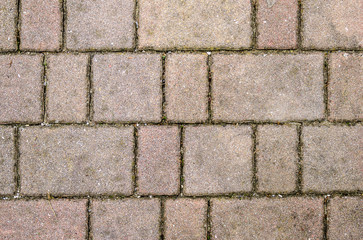 Concrete or cobble gray pavement slabs or stones.