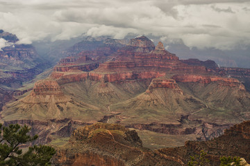 View of Grand Canyon , Arizona, USA