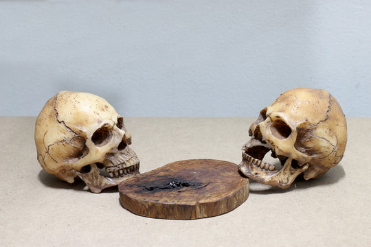 Human skull on old wood background ; still-life