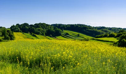Photo sur Plexiglas Colline Beauté des collines verdoyantes en Pologne