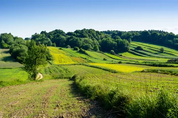 Fototapeten Schöne grüne Hügel in Polen © Wojciech Bobrowicz