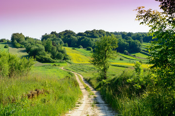 Beauté des collines verdoyantes en Pologne