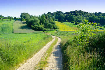 Obraz premium Beauty green hills in Poland