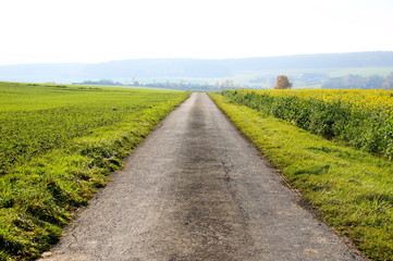 Fototapeta na wymiar geteerter Feldwirtschaftsweg im Hunsrück zwischen Feldern 