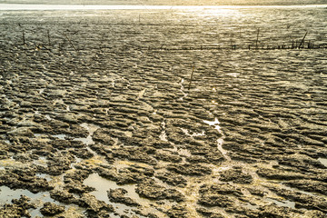 Golden sand waves, low tide in the early sunset