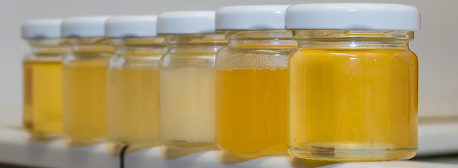 Gläser mit verschiedenen Sorten Honig 