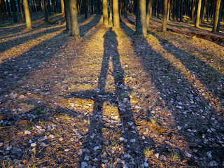 длинные тени в закате золотом © alex7ya