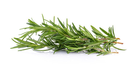 rosemary on white background