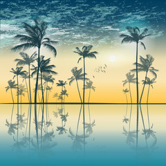 Tropical palm trees  at sunset, with cloudy sky. Highly detailed and editable