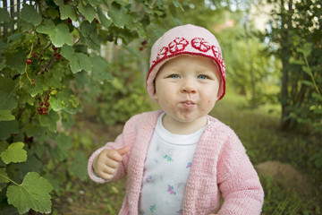 The girl in pink knitted hat and blouse in the garden  eating with relish red currants directly from the bush