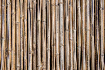 bamboo wall background