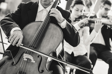 Professional cello player © stokkete