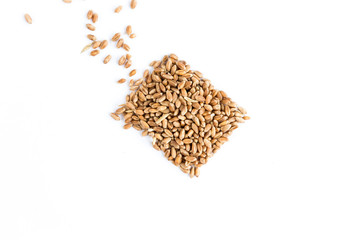 Wheat seeds isolated on white. Square. Flat lay. Pour in.