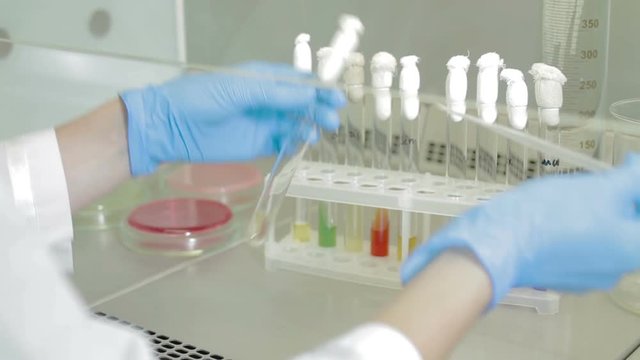 Bio lab and experiment