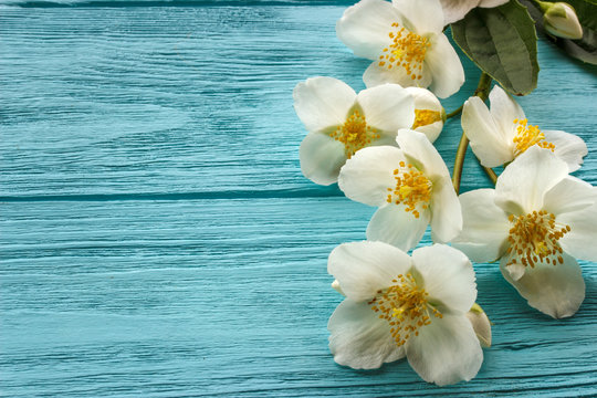  jasmine flowers on  wooden background