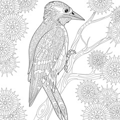 Zentangle stylized cartoon woodpecker on tree branch among snowflakes. Hand drawn sketch for adult antistress coloring page, T-shirt emblem, logo or tattoo with doodle, zentangle design elements.
