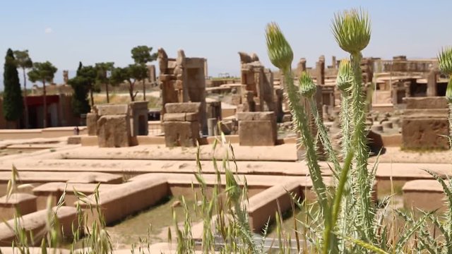 in iran persepolis the old ruins historical destination monuments and ruin