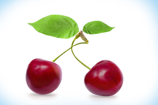 Cherry with leaves on a white background with clipping path. Ripe cherry isolated. Sherry berry fruit isolated on white background. Sweet cherry. Red cherry. Cherry on white. Cherry isolated.