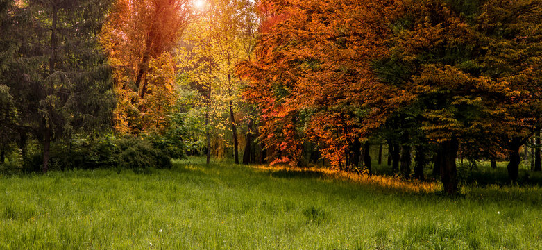 Fototapeta  autumn landscape with colorful forest. color in nature