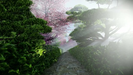 Japanese garden in spring, sun shining between trees