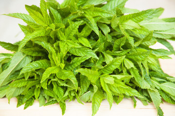 Fresh mint