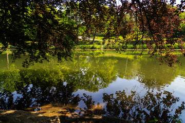 Pond with tree reflections during day at park